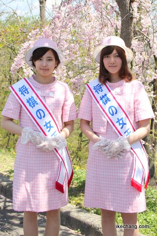 写真：しだれ桜の前での記念撮影（第60回人間将棋）