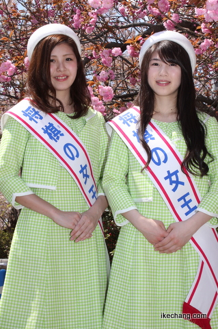 写真：「将棋の女王」の阿部汐里さんと高橋真由美さん（平成28年度人間将棋）