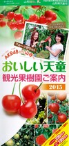 写真：天童市観光果樹園連絡協議会のパンフレット（AKR48から山寺へ）
