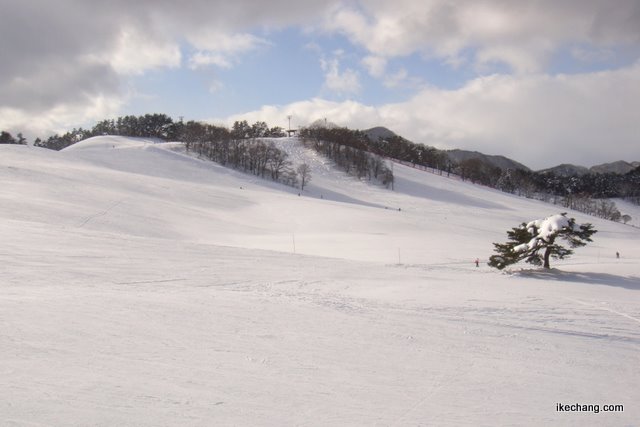 写真：天童高原スキー場のゲレンデ