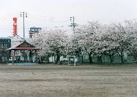 Cyubu elementary school