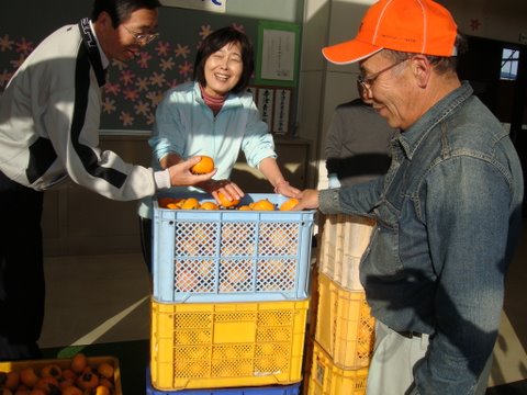 写真：収穫した柿を寺津小学校へ