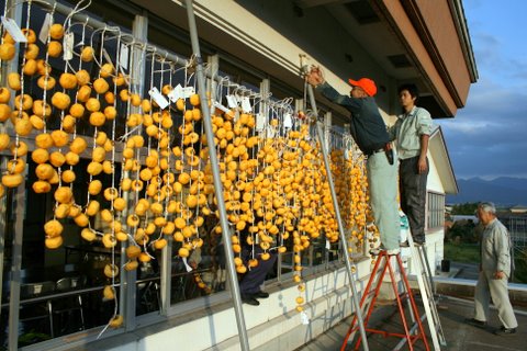 写真：寺津小学校の軒先に柿を吊るす