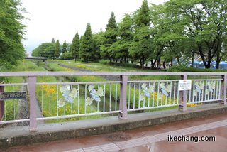 写真：公園内の蛭沢川にかかる甲斐路橋（ヴァンフォーレ甲府×モンテディオ山形）