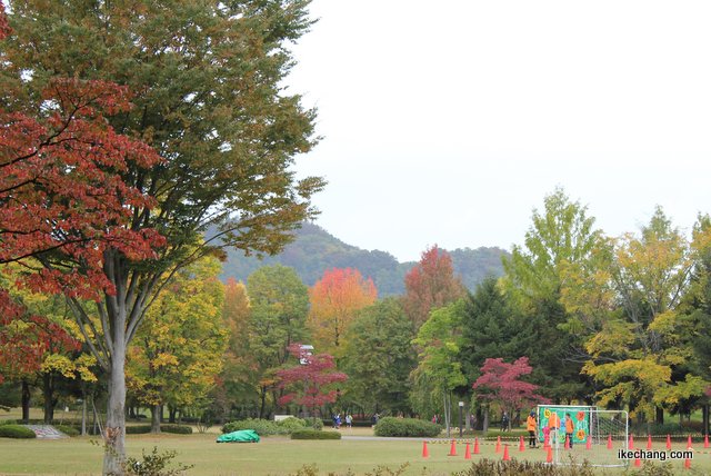 写真：紅葉が進む山形県総合運動公園（モンテディオ山形×ジェフ千葉）