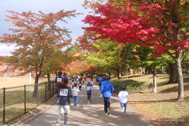 写真：紅葉のなかを走る家族ランナー（第1回天童ラ・フランスマラソン大会）