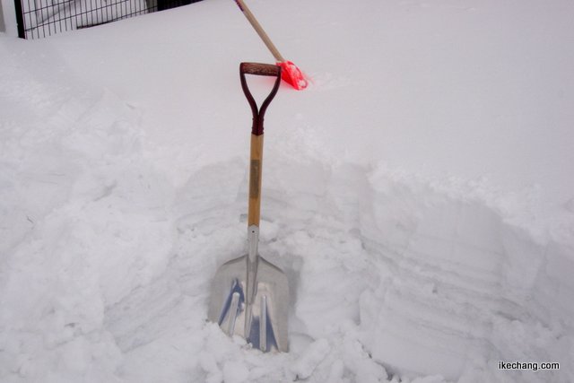 写真：除雪スコップの柄まで積もった雪