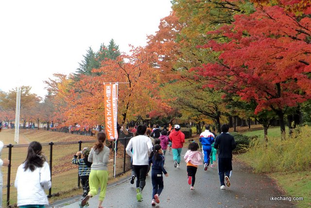 写真：紅葉の中を走るランナー（第2回天童ラ・フランスマラソン大会）
