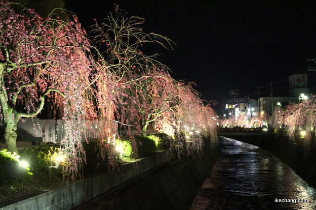 写真：銀将橋から東を眺めた様子（倉津川しだれ桜ライトアップ）