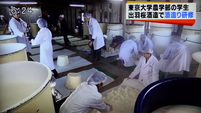 写真：蒸した米を冷ます東大生（TUYニュース）