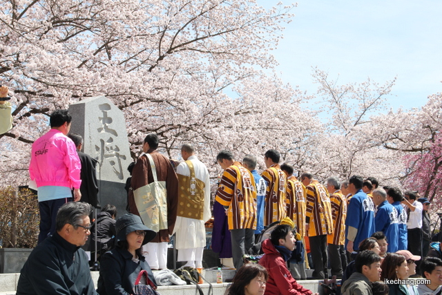 写真：桜満開のなかの将棋供養祭