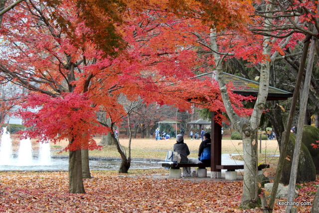 写真：紅葉が見頃の山形県総合運動公園（山形×町田）
