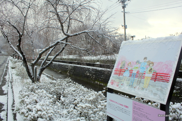 写真：雪をかぶったシキザクラと「3月のライオン」オリジナルイラストの案内板