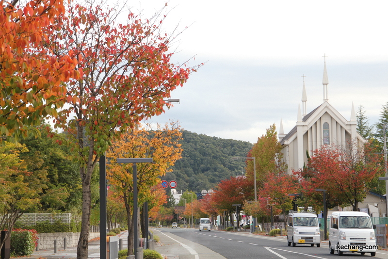 画像：紅葉した天童市鍬ノ町地域の街路樹