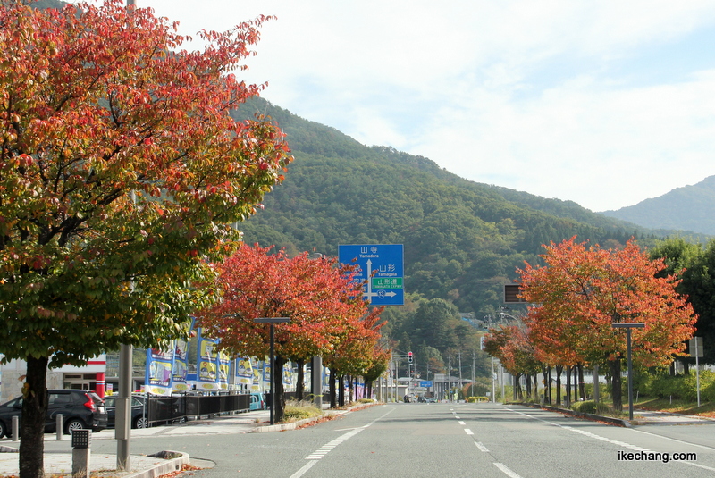 画像：紅葉した「わくわくランド」前の街路樹