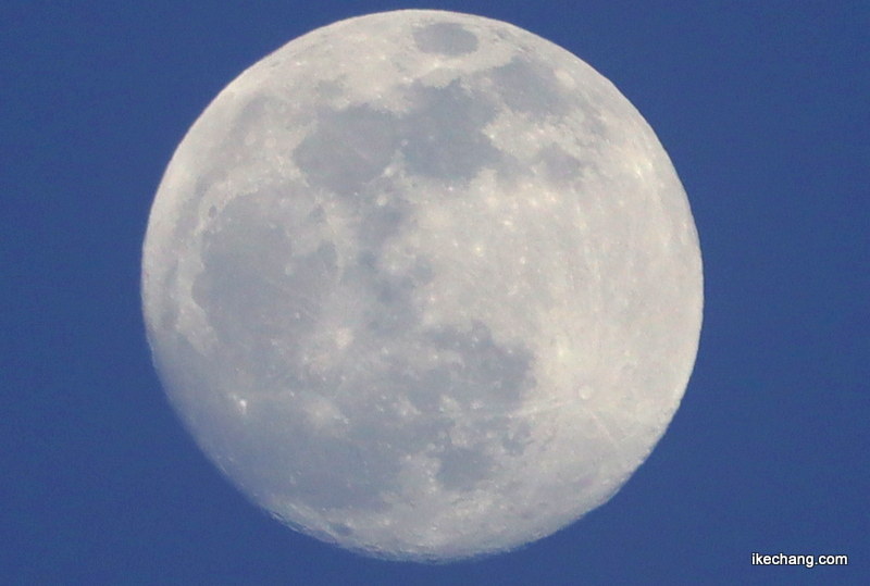 画像：満月まであと少し・月齢14.2の白い月