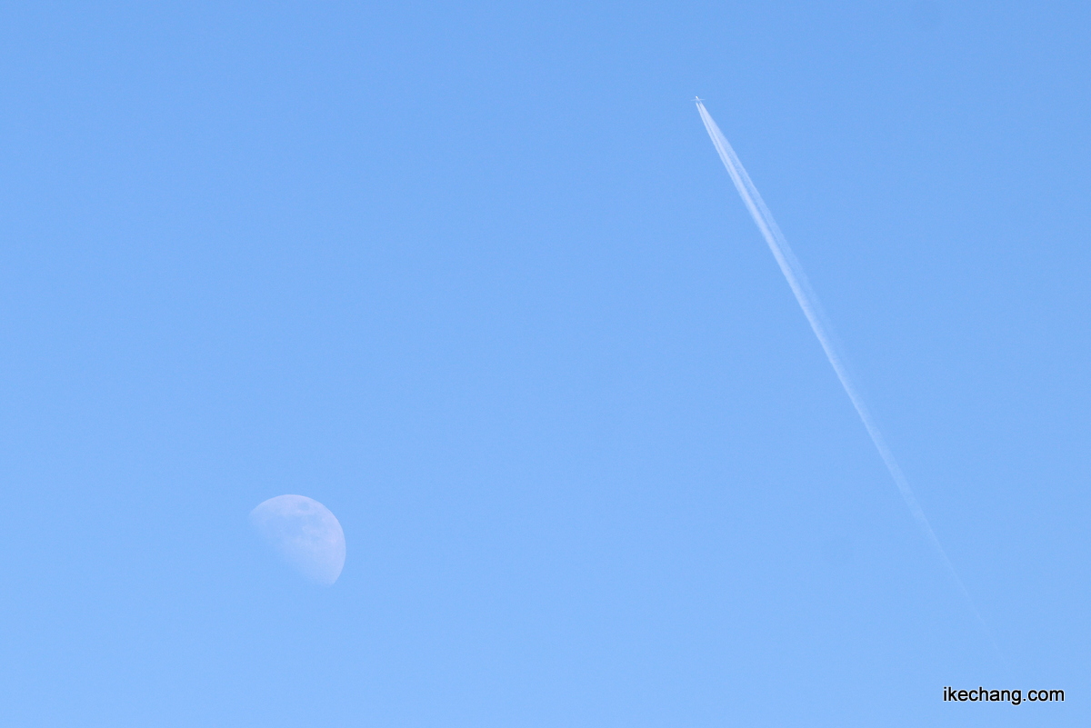 写真：上弦を過ぎた月と飛行機雲