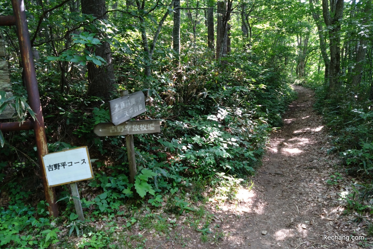 写真：天童高原から面白山への登山道