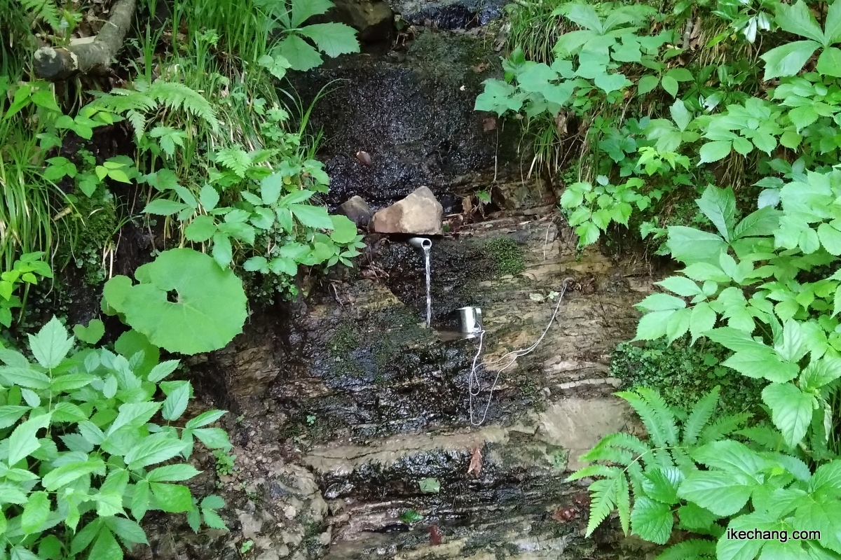 写真：長命水とコップ