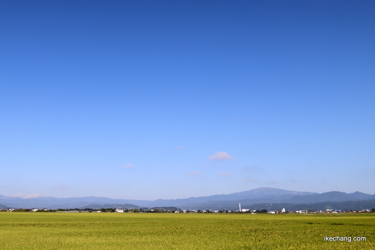 写真：青空と黄金色に色づいて来た田んぼ