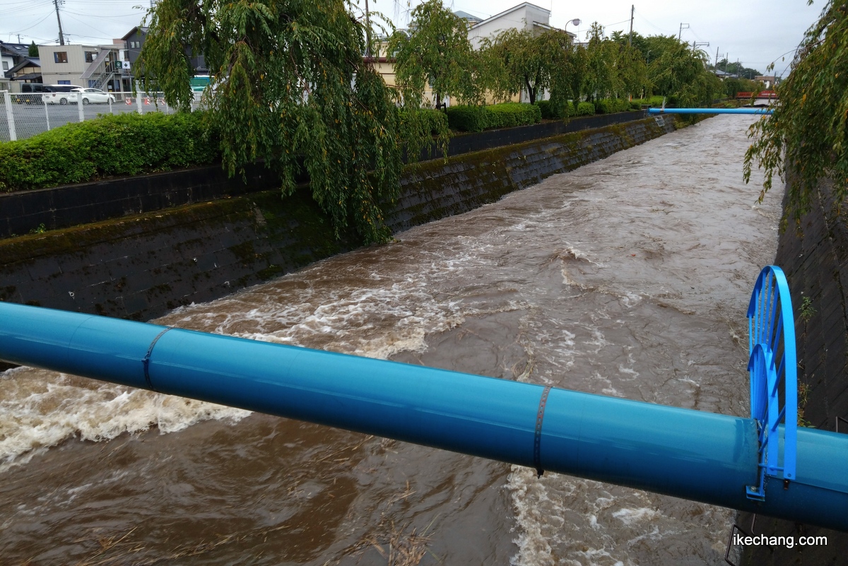 写真：大雨で茶色の濁流になっている倉津川