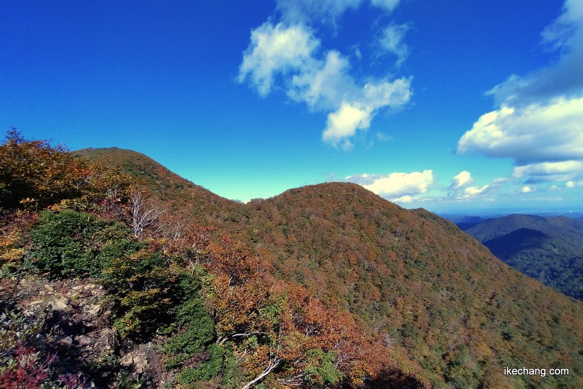 写真：秋晴れの下で色づき始めた北面白山