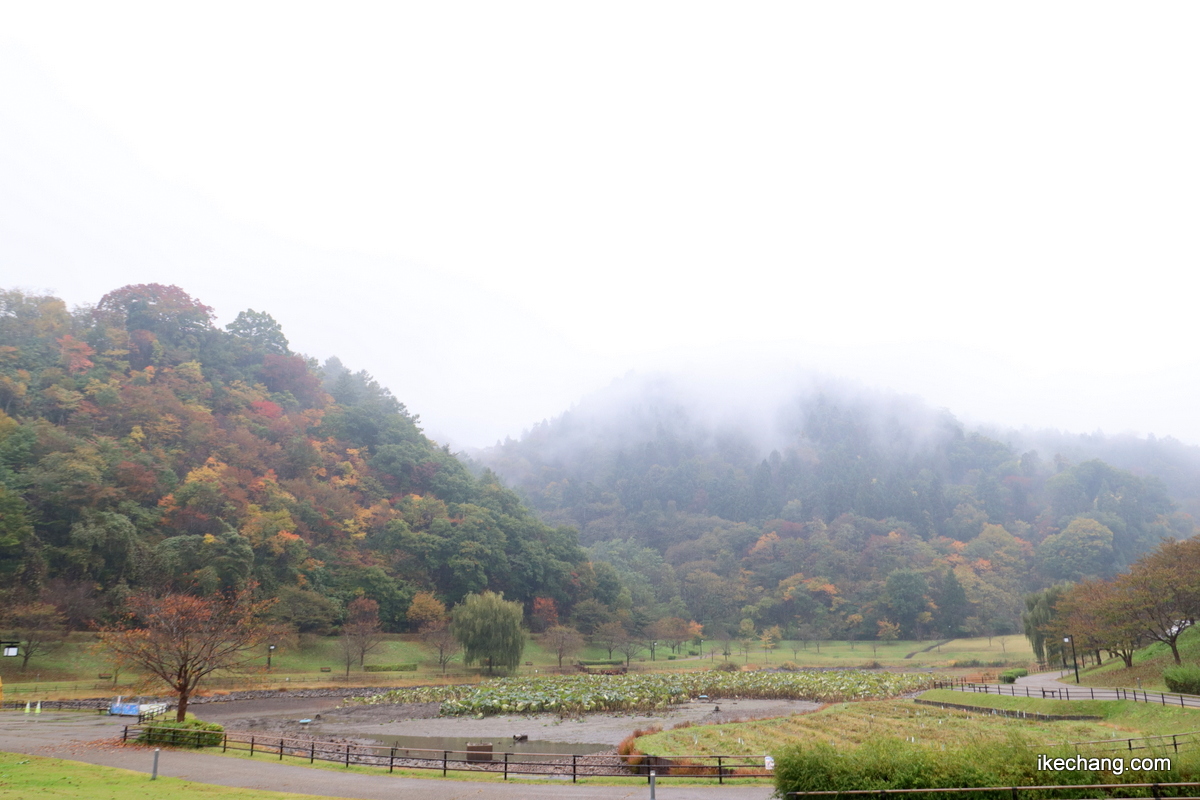 写真：雲に覆われた舞鶴山