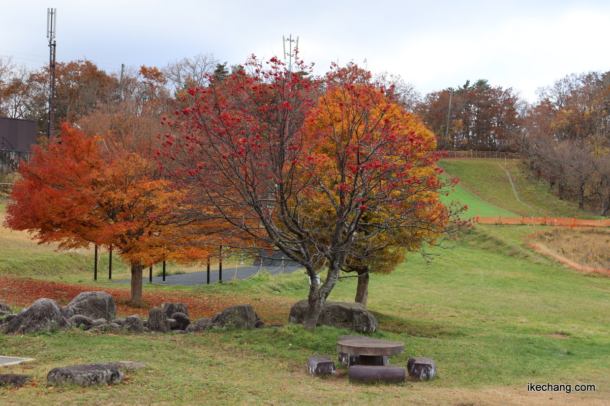 写真：紅葉が見頃の天童高原キャンプ場