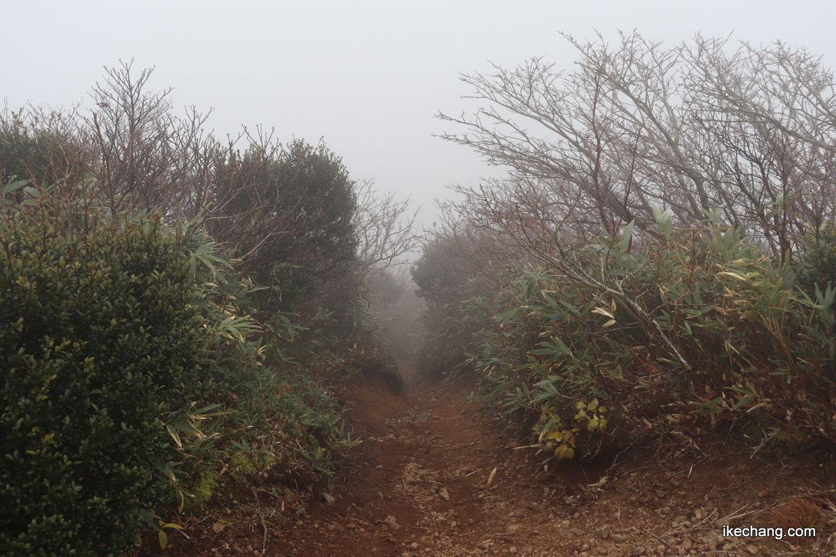 写真：雲の中で霞んでいる登山道