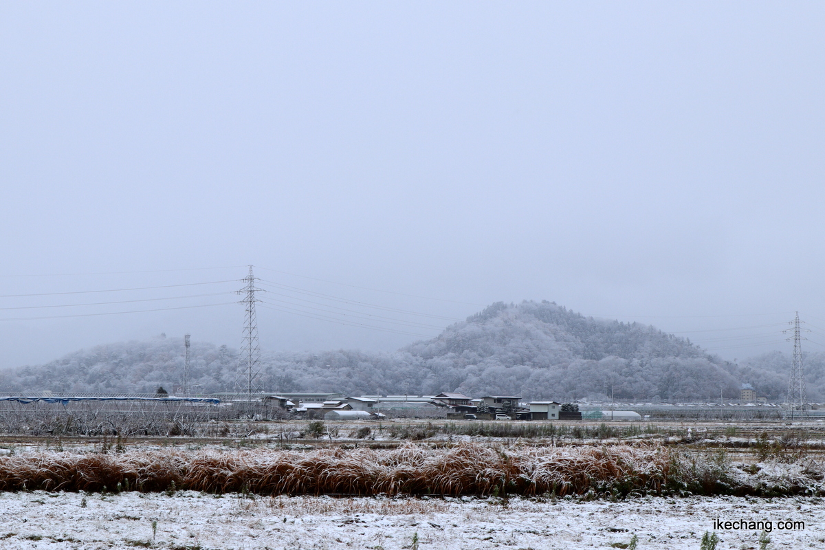 写真：雪で白くなった塚野目集落と奥に見える舞鶴山