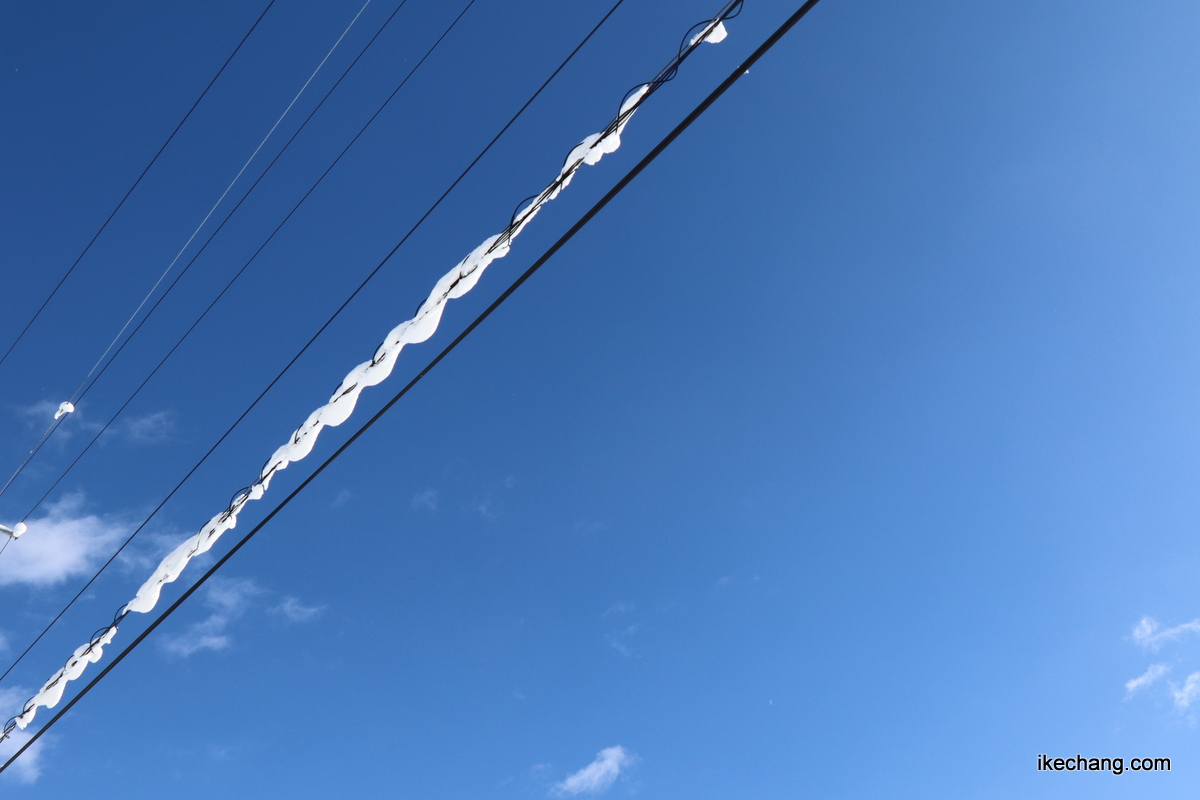 写真：電線に積もった雪