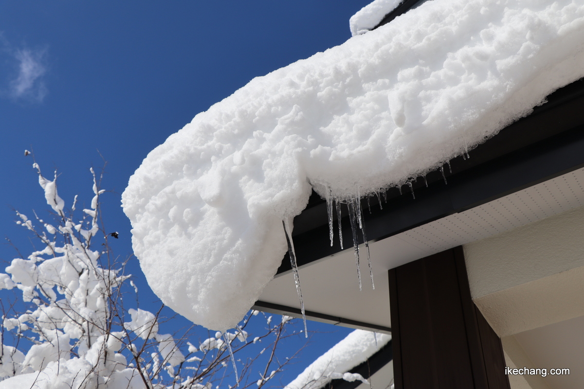 写真：青空と屋根の雪とツララ